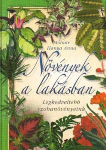 Molnár Hanga Anna: Növények a lakásban