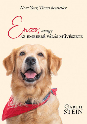 Garth Stein: Enzo