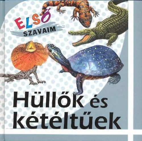 Első szavaim – Hüllők és kétéltűek Jó állapotú Tárolás sérült 